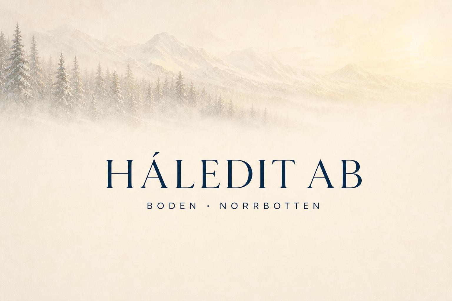 Háledit AB – publicerat kundprojekt av Wille Dådring